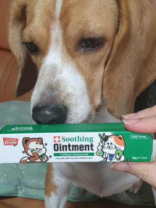 beaglelove님이 올린 리뷰 사진 1