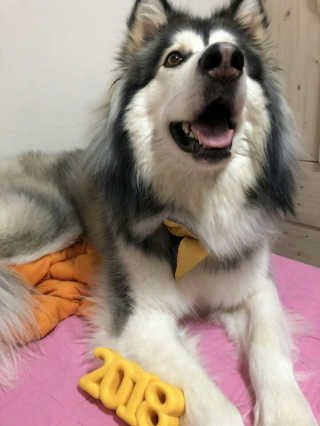 김현진님이 올린 리뷰 사진 1
