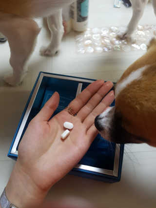 망고맘님이 올린 리뷰 사진 3