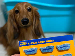 Pethroom 페스룸 PETHROOM DEEP CLEAN BATHBOMB 페스룸 딥클린 배쓰밤 — 5점을 준 리뷰어가 2020년 3월 올린 사용 사진