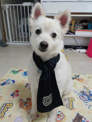 옥인동꿀주먹님이 올린 리뷰 사진 3
