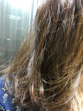 GH1933 보태니컬 테라피 헤어 세럼 — 3.67점을 준 리뷰어가 2018년 6월 올린 사용 사진