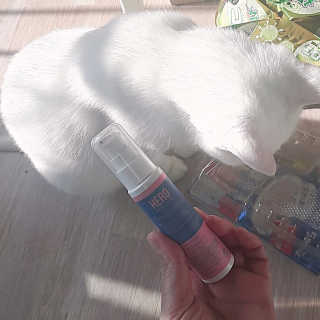 눈비님이 올린 리뷰 사진 1