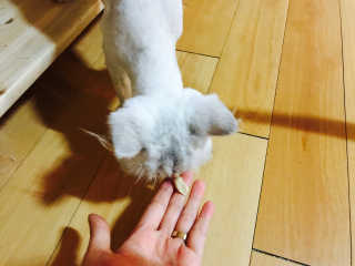경록영인님이 올린 리뷰 사진 3