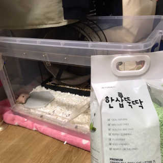헬로유님이 올린 리뷰 사진 3
