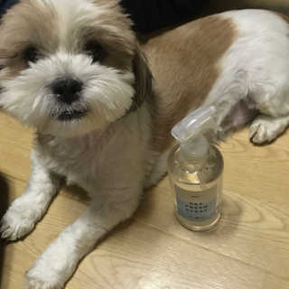 미니님이 올린 리뷰 사진 2