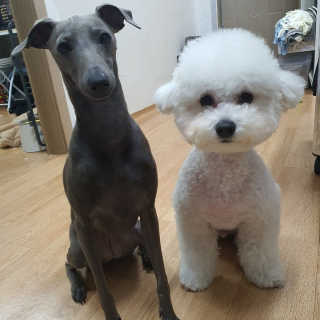 두부베리님이 올린 리뷰 사진 3