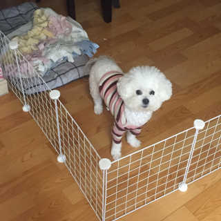 정빵님이 올린 리뷰 사진 3