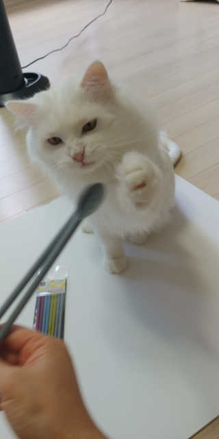 김재이님이 올린 리뷰 사진 4