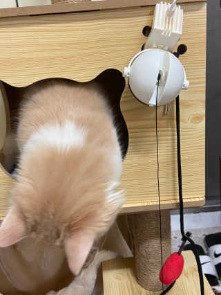 몽숭꾸님이 올린 리뷰 사진 4