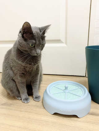 경던님이 올린 리뷰 사진 1