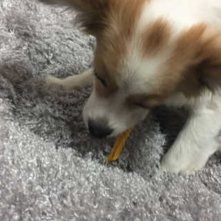 섬지님이 올린 리뷰 사진 2