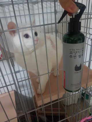 목예담님이 올린 리뷰 사진 2