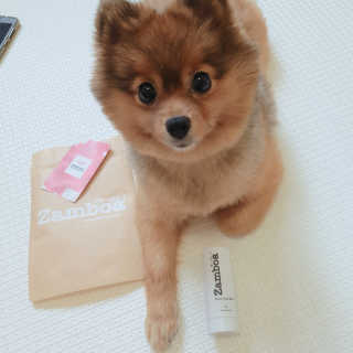 은선이짱님이 올린 리뷰 사진 3