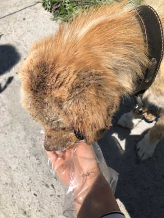 윤혜진님이 올린 리뷰 사진 2