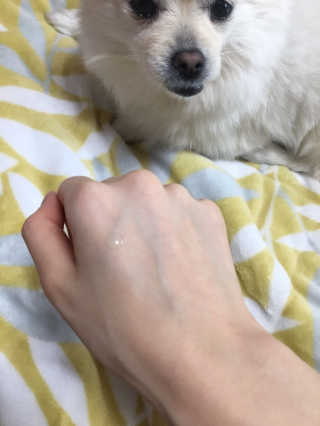 용수정님이 올린 리뷰 사진 2
