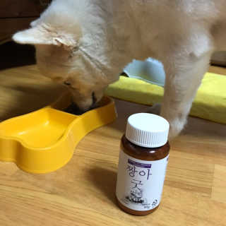 지우닝님이 올린 리뷰 사진 1