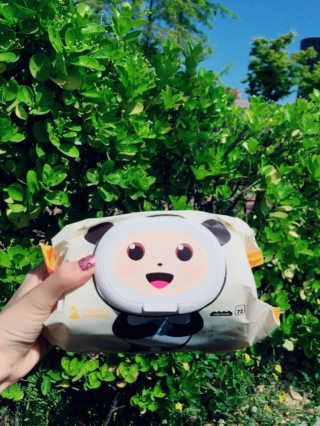 달곰이 물티슈 — 4.5점을 준 리뷰어가 2017년 5월 올린 사용 사진
