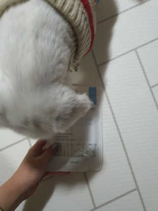 SeRyeonfit님이 올린 리뷰 사진 4