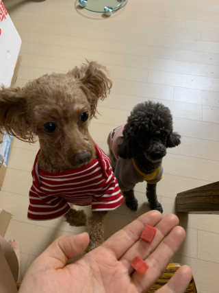 dddd님이 올린 리뷰 사진 2