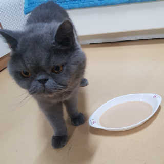 제트님이 올린 리뷰 사진 2