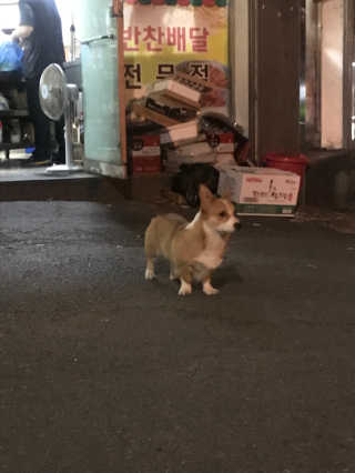 날날님이 올린 리뷰 사진 1