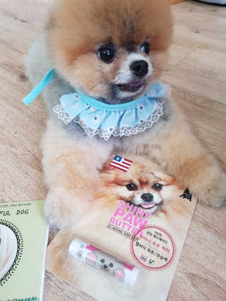 이엘리사님이 올린 리뷰 사진 1