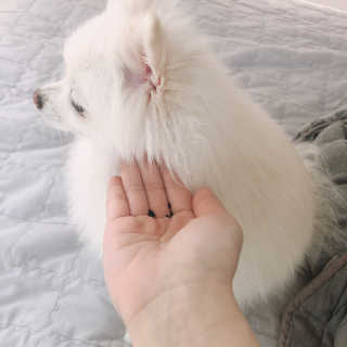 꾸눙맘님이 올린 리뷰 사진 2