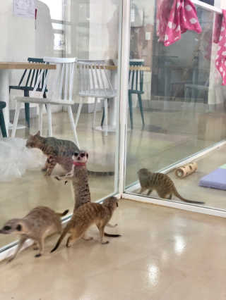꾸눙맘님이 올린 리뷰 사진 2