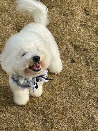 heeee님이 올린 리뷰 사진 3