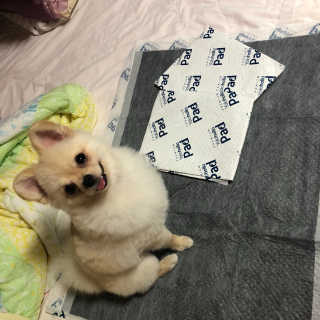 김다경님이 올린 리뷰 사진 3