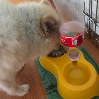 허은정님이 올린 리뷰 사진 3