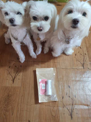 공팔리터님이 올린 리뷰 사진 1