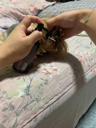 이미경님이 올린 리뷰 사진 4