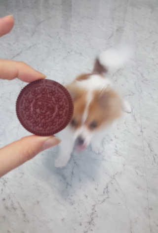 alswyd06님이 올린 리뷰 사진 3