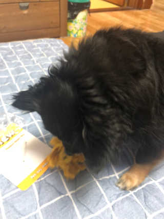 DaKeunSong님이 올린 리뷰 사진 4