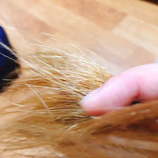 김은채님이 올린 리뷰 사진 3