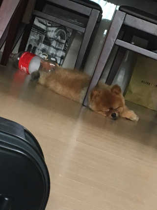 감자링님이 올린 리뷰 사진 1