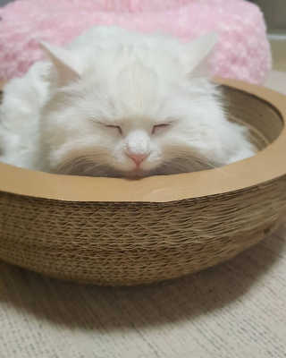 논지님이 올린 리뷰 사진 3