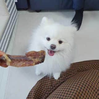 쿠마쪼쪼님이 올린 리뷰 사진 1
