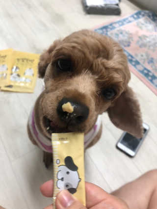 [펫토리아]짜먹는 한입뚝딱 강아지.고양이 마약간식 — 5점을 준 리뷰어가 2019년 7월 올린 사용 사진
