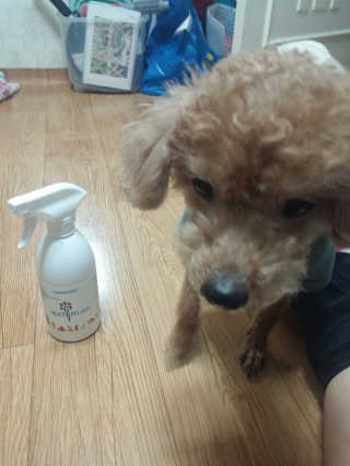 HariKang님이 올린 리뷰 사진 1