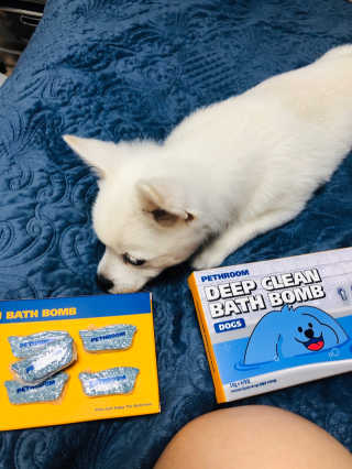 Pethroom 페스룸 PETHROOM DEEP CLEAN BATHBOMB 페스룸 딥클린 배쓰밤 — 4점을 준 리뷰어가 2020년 3월 올린 사용 사진