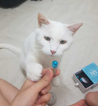 IS2UL님이 올린 리뷰 사진 1