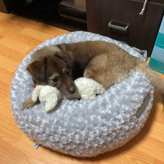쏘오님이 올린 리뷰 사진 2