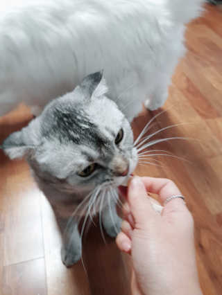 으하하하하님이 올린 리뷰 사진 1