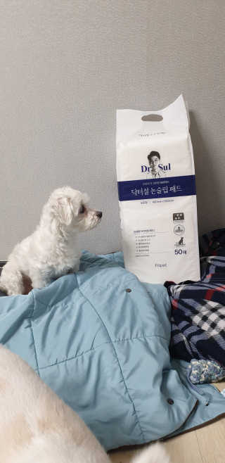 지혴님이 올린 리뷰 사진 2