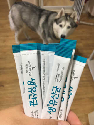 [빙그레] 에버그로 생유산균 1봉（10포입）+펫밀크2팩 — 5점을 준 리뷰어가 2019년 5월 올린 사용 사진