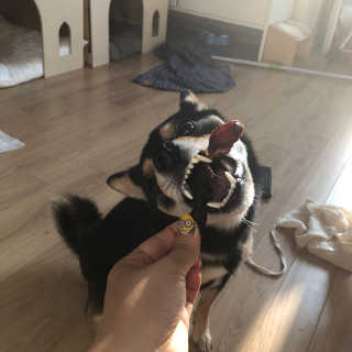 권재현님이 올린 리뷰 사진 2