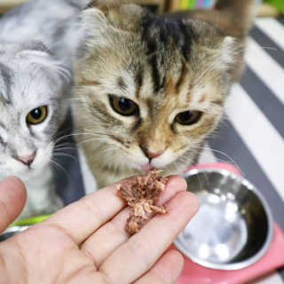 byyooom님이 올린 리뷰 사진 2